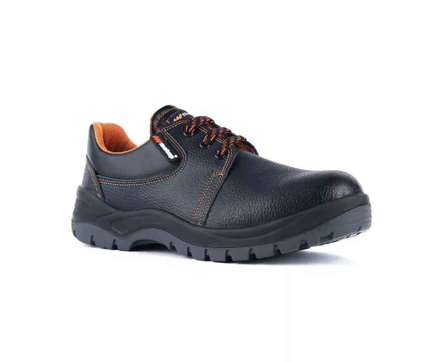 POLICAP 106